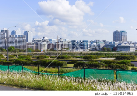 千葉県千葉市検見川の浜周辺2026年5月 139814962