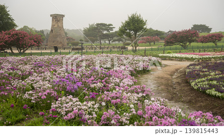 crape myrtle, zinnia crape myrtle, zinnia 139815443