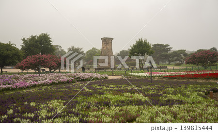 crape myrtle, zinnia 139815444