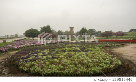 crape myrtle, zinnia 139815446
