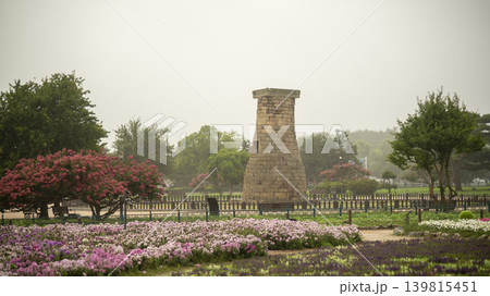crape myrtle, zinnia crape myrtle, zinnia 139815451
