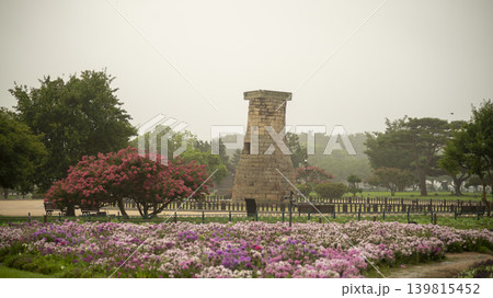 crape myrtle, zinnia crape myrtle, zinnia 139815452