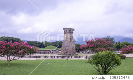 crape myrtle, zinnia crape myrtle, zinnia 139815478