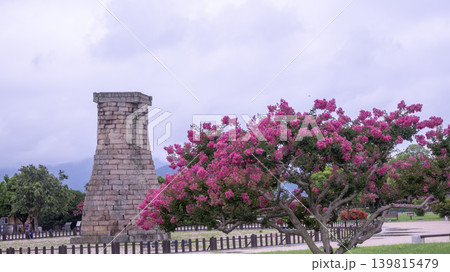 crape myrtle, zinnia crape myrtle, zinnia 139815479