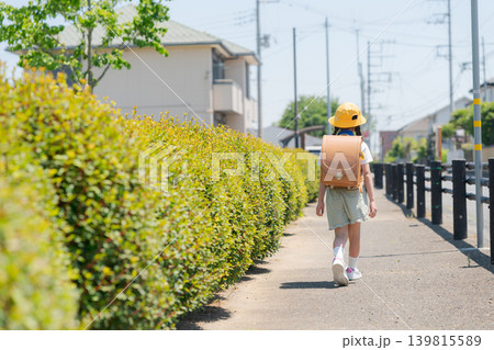 ランドセルを背負う女の子の後ろ姿 ランドセルを背負う女の子の後ろ姿 139815589