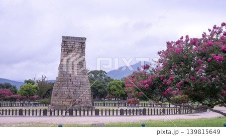crape myrtle, zinnia 139815649