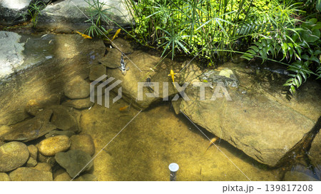 Bucheon Botanical Garden Bucheon Botanical Garden 139817208