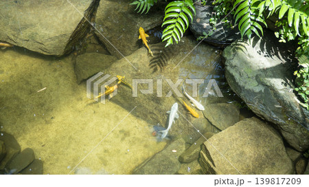 Bucheon Botanical Garden Bucheon Botanical Garden 139817209