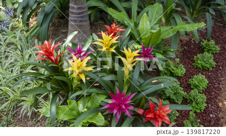 Bucheon Botanical Garden Bucheon Botanical Garden 139817220