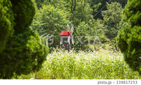 Bucheon Botanical Garden 139817253