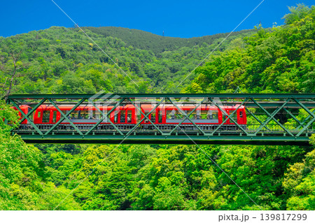 新緑の早川橋梁を渡る箱根登山鉄道・3100形 新緑の早川橋梁を渡る箱根登山鉄道・3100形 139817299