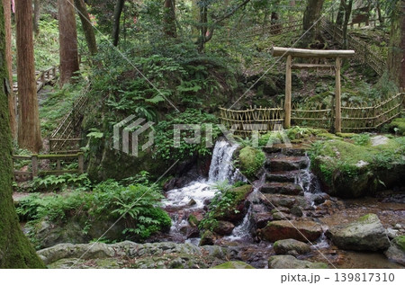 苔むした森と水音響く瓜割の滝 139817310