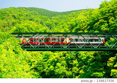 新緑の早川橋梁を渡る箱根登山鉄道・2000形 新緑の早川橋梁を渡る箱根登山鉄道・2000形 139817356