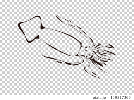 魷魚的寫實線條畫 魷魚的寫實線條畫 139817369