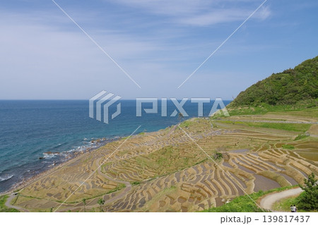 田植え前の白米千枚田を望む 2023年5月 田植え前の白米千枚田を望む 2023年5月 139817437