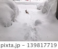 雪とビーグル犬 139817719