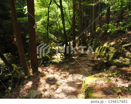 石畳のトレイルが紡ぐ旅情。深緑の森をすり抜けていくドラマチックな下山道 石畳のトレイルが紡ぐ旅情。深緑の森をすり抜けていくドラマチックな下山道 139817881