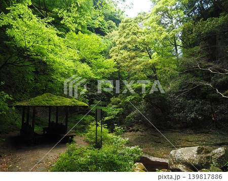 自然と調和する緑の雨宿り。赤目四十八滝の散策路に佇む苔むした屋根の休憩所 自然と調和する緑の雨宿り。赤目四十八滝の散策路に佇む苔むした屋根の休憩所 139817886