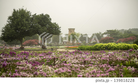 Cheomseongdae area 139818228