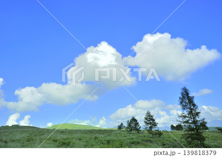 霧ヶ峰高原　青空と雲 139818379