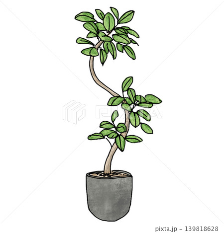手描き風でおしゃれな曲がり木の観葉植物(ゴムの木)のイラスト 手描き風でおしゃれな曲がり木の観葉植物(ゴムの木)のイラスト 139818628