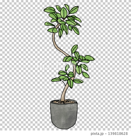 手描き風でおしゃれな曲がり木の観葉植物(ゴムの木)のイラスト 手描き風でおしゃれな曲がり木の観葉植物(ゴムの木)のイラスト 139818628