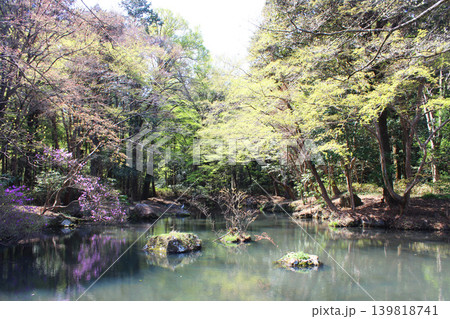 武蔵陵墓地の湧水 139818741