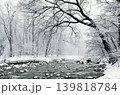 冬の奥入瀬渓流 139818784