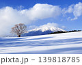 冬の小岩井一本桜から岩手山 139818785