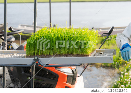 田植機に苗を積み込む様子 田植機に苗を積み込む様子 139818842