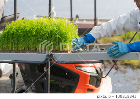 田植機に苗を積み込む様子 139818843