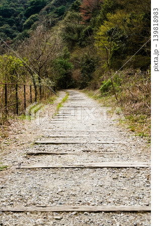 新緑の山々に囲まれた旧鉄道敷 新緑の山々に囲まれた旧鉄道敷 139818983