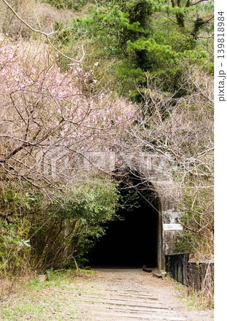 桜と新緑に彩られた旧鉄道トンネル 桜と新緑に彩られた旧鉄道トンネル 139818984