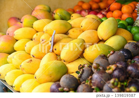 Fresh ripe yellow mangoes piled high near purple mangosteens at outdoor tropical fruit market stall in Hoi An Vietnam Fresh ripe yellow mangoes piled high near purple mangosteens at outdoor tropical fruit market stall in Hoi An Vietnam 139819387