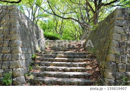 山崎城 埋御門跡 139819407