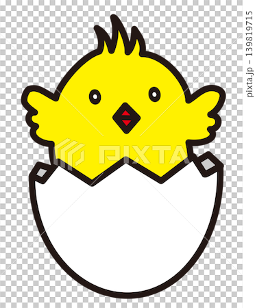 A chick that has emerged from its shell A chick that has emerged from its shell 139819715