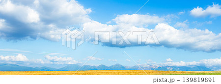 夏の北海道美瑛町の丘の上から見た青い空と白い雲の風景 夏の北海道美瑛町の丘の上から見た青い空と白い雲の風景 139819891