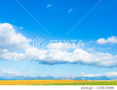 夏の北海道美瑛町の丘の上から見た青い空と白い雲の風景 夏の北海道美瑛町の丘の上から見た青い空と白い雲の風景 139819896