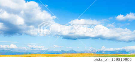 夏の北海道美瑛町の丘の上から見た青い空と白い雲の風景 夏の北海道美瑛町の丘の上から見た青い空と白い雲の風景 139819900