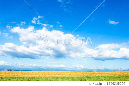 夏の北海道美瑛町の丘の上から見た青い空と白い雲の風景 夏の北海道美瑛町の丘の上から見た青い空と白い雲の風景 139819903