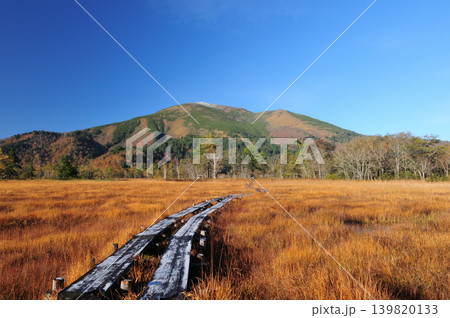 群馬県片品村　尾瀬ヶ原から望む冠雪した至仏山と草紅葉 139820133
