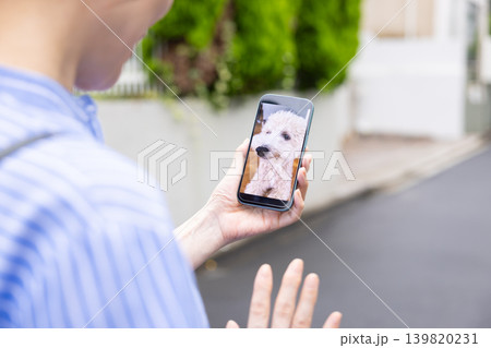 ペット 外出先でペットカメラに接続して愛犬の様子をチェックする飼い主の手元 ペット 外出先でペットカメラに接続して愛犬の様子をチェックする飼い主の手元 139820231