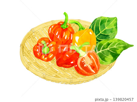 竹ざるに乗ったハバネロのセット　野菜の手描き水彩イラスト素材 139820457