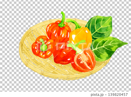 竹ざるに乗ったハバネロのセット　野菜の手描き水彩イラスト素材 139820457