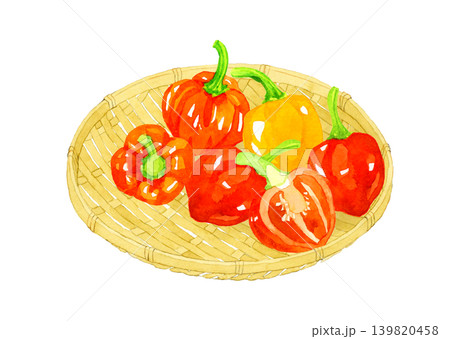 竹ざるに乗ったハバネロのセット　野菜の手描き水彩イラスト素材 139820458