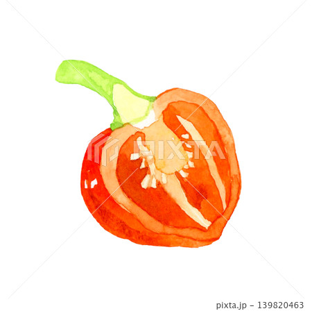 半分にカットした橙色（赤色）のハバネロ　野菜の手描き水彩イラスト素材 139820463