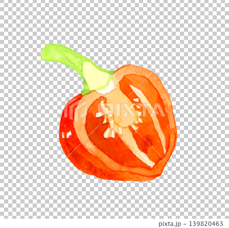 半分にカットした橙色（赤色）のハバネロ　野菜の手描き水彩イラスト素材 139820463