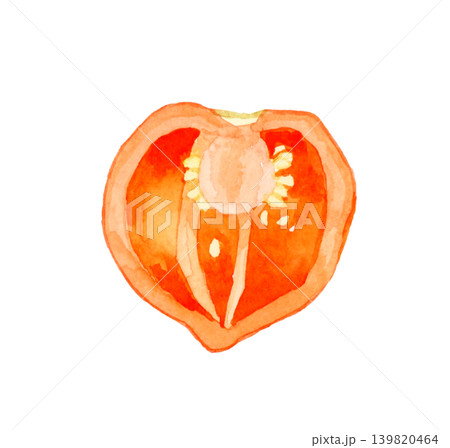 半分にカットした橙色(赤色)のハバネロ 野菜の手描き水彩イラスト素材 半分にカットした橙色(赤色)のハバネロ 野菜の手描き水彩イラスト素材 139820464