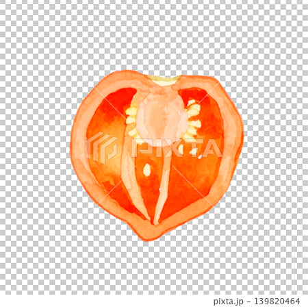 半分にカットした橙色(赤色)のハバネロ 野菜の手描き水彩イラスト素材 半分にカットした橙色(赤色)のハバネロ 野菜の手描き水彩イラスト素材 139820464