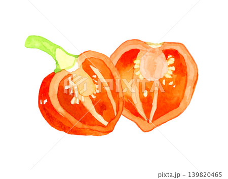 半分にカットした橙色(赤色)のハバネロ 野菜の手描き水彩イラスト素材 半分にカットした橙色(赤色)のハバネロ 野菜の手描き水彩イラスト素材 139820465